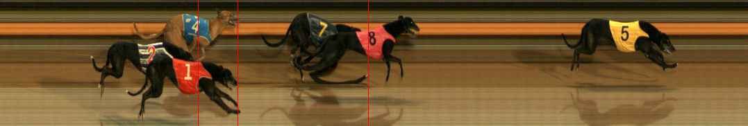 Photo finish for Ballarat Race 9