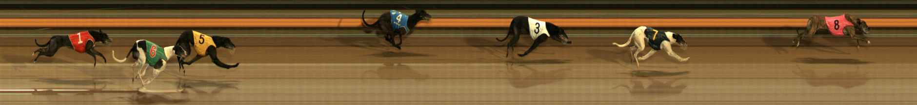 Photo finish for Ballarat Race 10