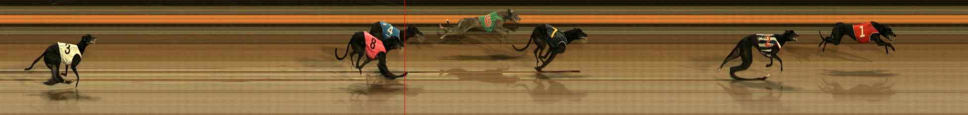 Photo finish for Ballarat Race 11