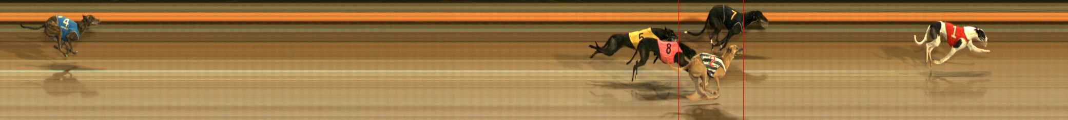 Photo finish for Ballarat Race 12
