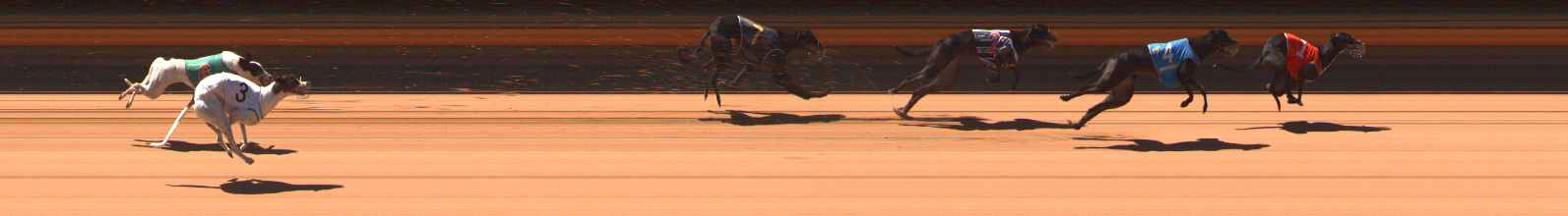 Photo finish for Ballarat Race 5