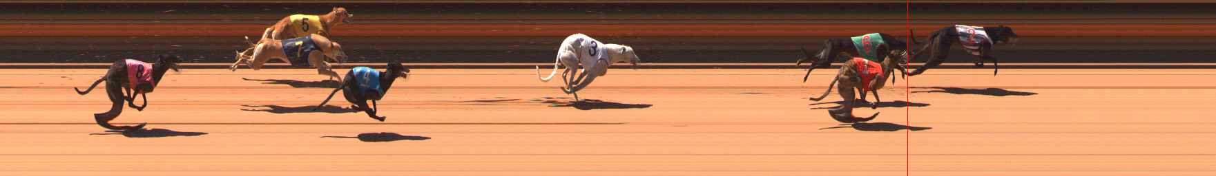 Photo finish for Ballarat Race 6