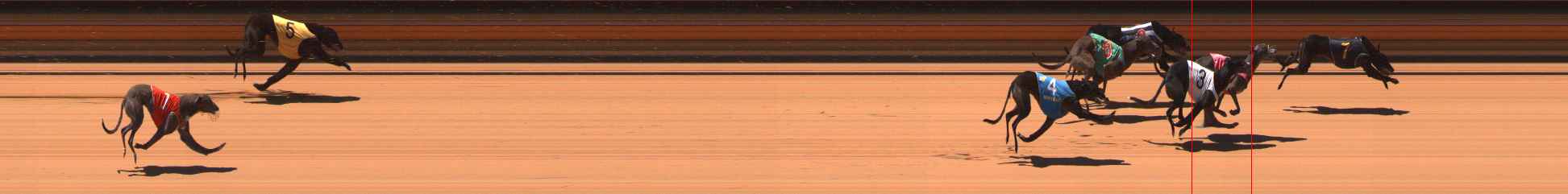 Photo finish for Ballarat Race 8