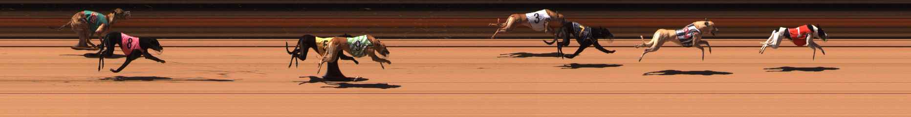 Photo finish for Ballarat Race 9