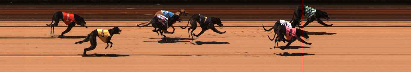 Photo finish for Ballarat Race 10