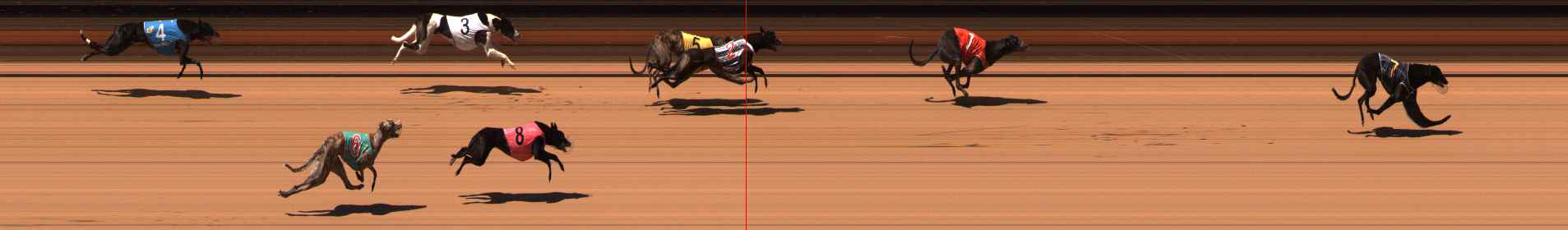 Photo finish for Ballarat Race 11