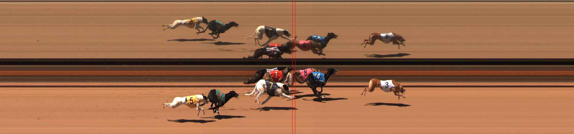 Photo finish for Ballarat Race 12