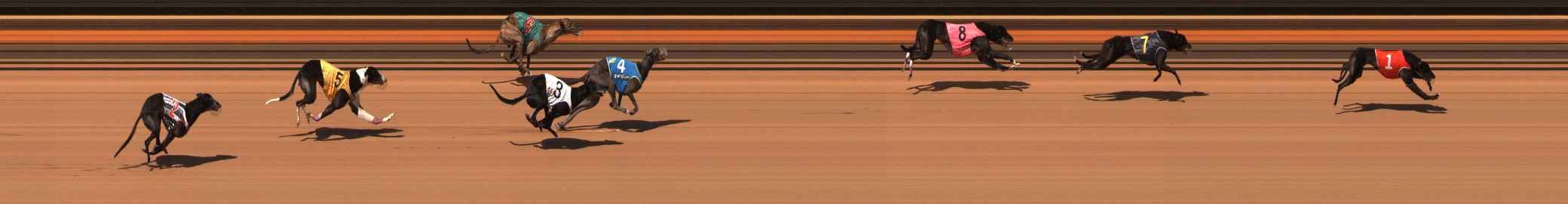 Photo finish for Ballarat Race 14