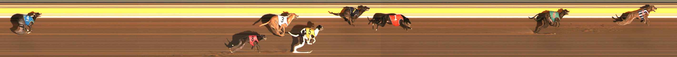Photo finish for Ballarat Race 2