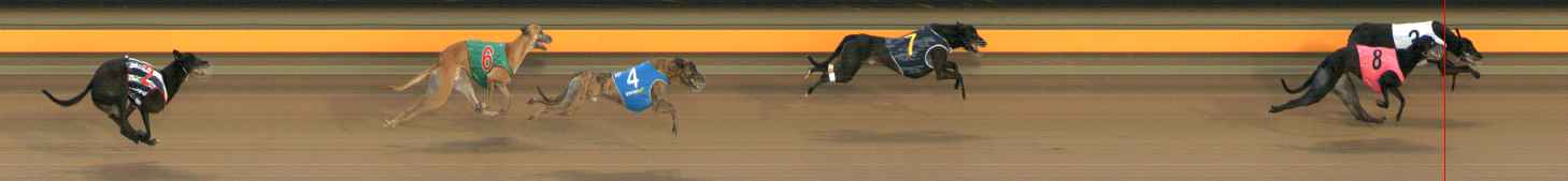 Photo finish for Ballarat Race 5