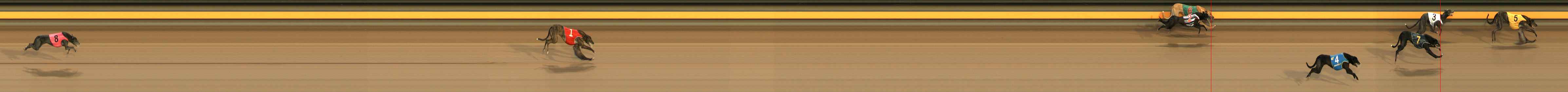 Photo finish for Ballarat Race 6