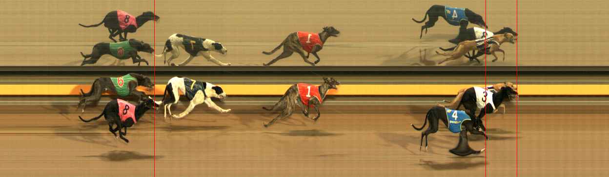 Photo finish for Ballarat Race 10