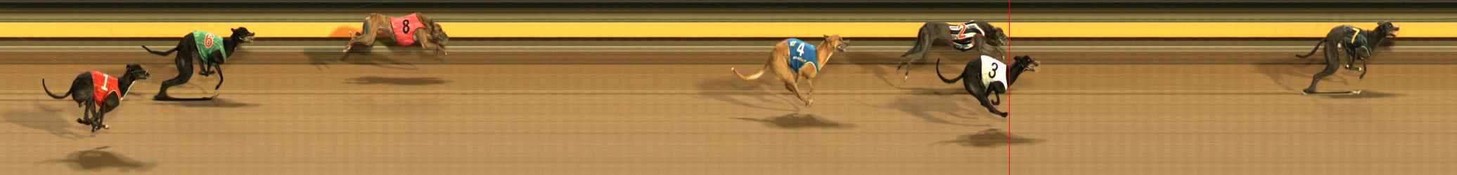 Photo finish for Ballarat Race 11
