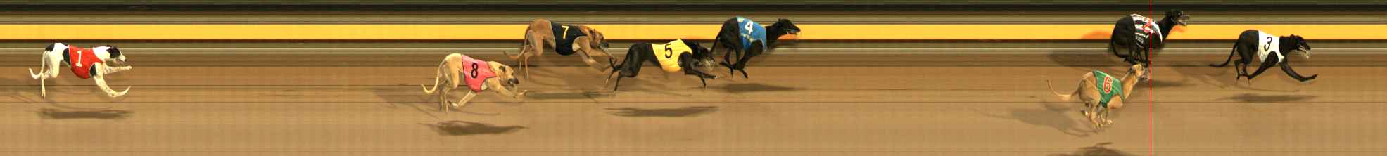 Photo finish for Ballarat Race 12