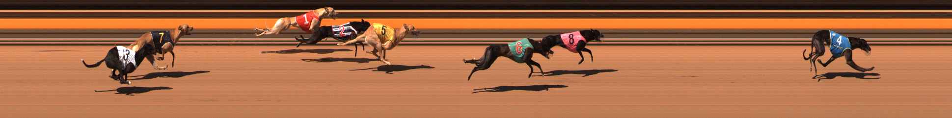Photo finish for Ballarat Race 1