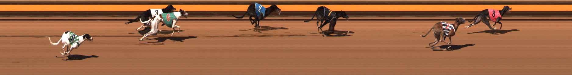 Photo finish for Ballarat Race 3