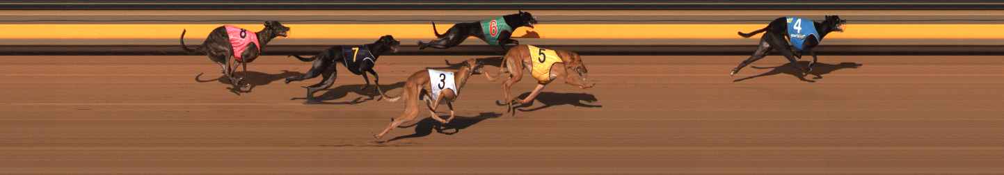Photo finish for Ballarat Race 6
