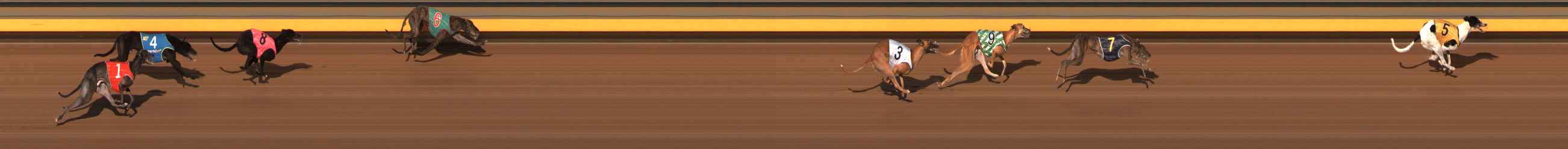Photo finish for Ballarat Race 8