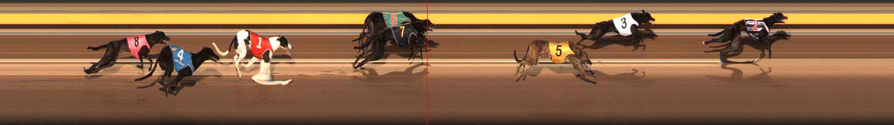 Photo finish for Ballarat Race 10