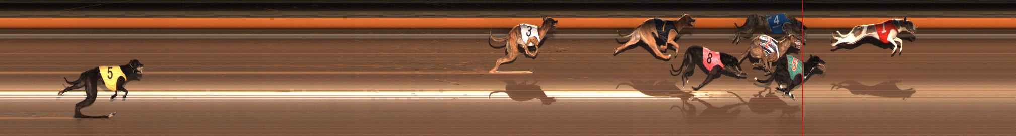 Photo finish for Ballarat Race 11