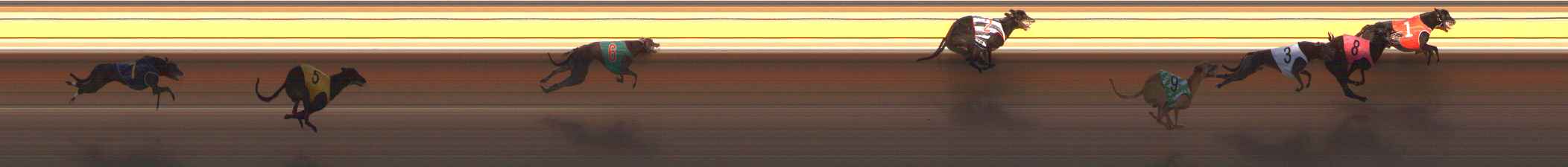 Photo finish for Ballarat Race 12