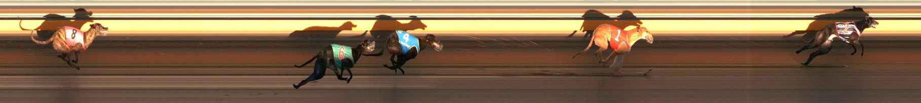 Photo finish for Ballarat Race 3