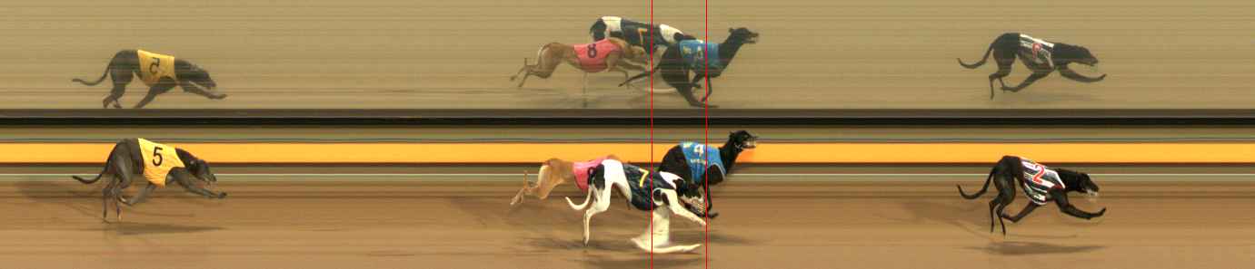 Photo finish for Ballarat Race 6