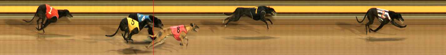 Photo finish for Ballarat Race 10
