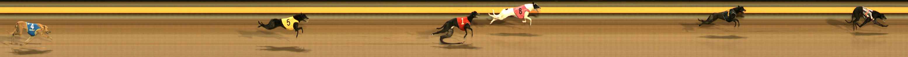 Photo finish for Ballarat Race 11