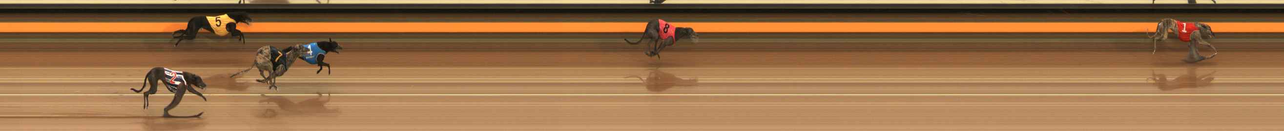 Photo finish for Ballarat Race 2