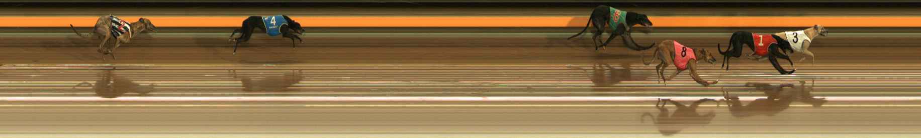 Photo finish for Ballarat Race 5