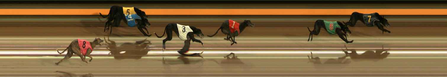 Photo finish for Ballarat Race 6
