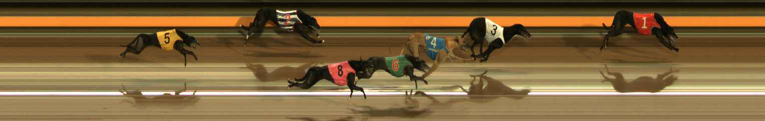 Photo finish for Ballarat Race 7