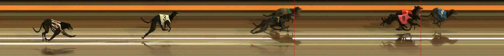 Photo finish for Ballarat Race 8