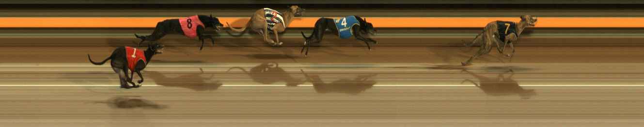 Photo finish for Ballarat Race 9