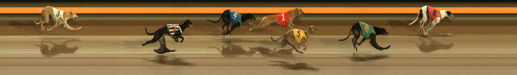 Photo finish for Ballarat Race 10