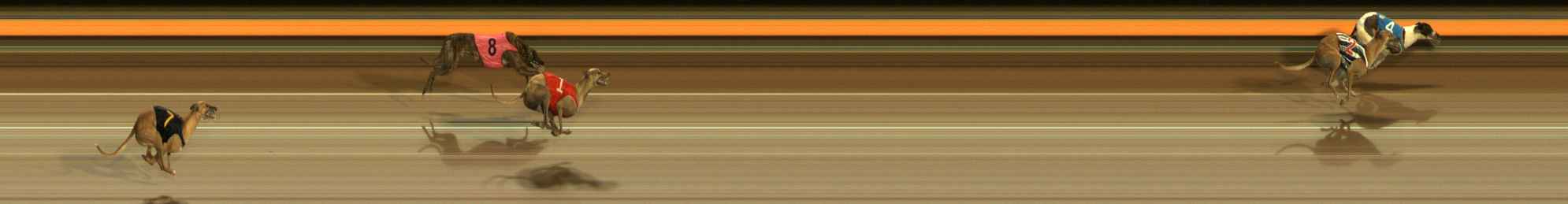 Photo finish for Ballarat Race 11
