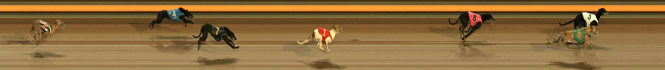 Photo finish for Ballarat Race 13
