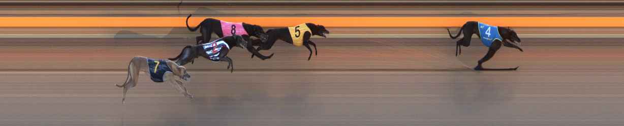 Photo finish for Ballarat Race 2
