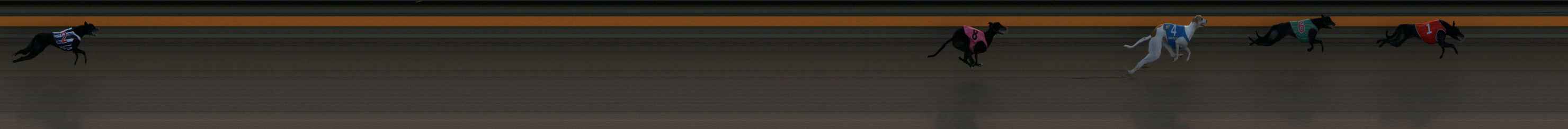 Photo finish for Ballarat Race 3