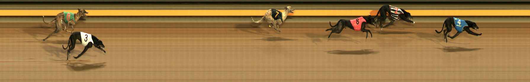 Race result finish photo