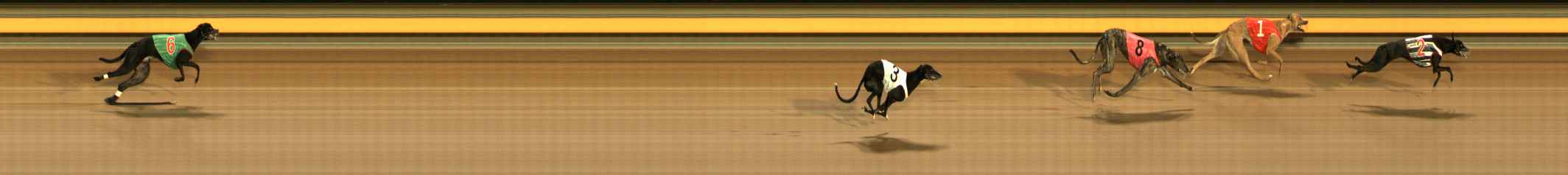 Race result finish photo