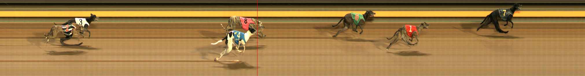 Photo finish for Ballarat Race 9