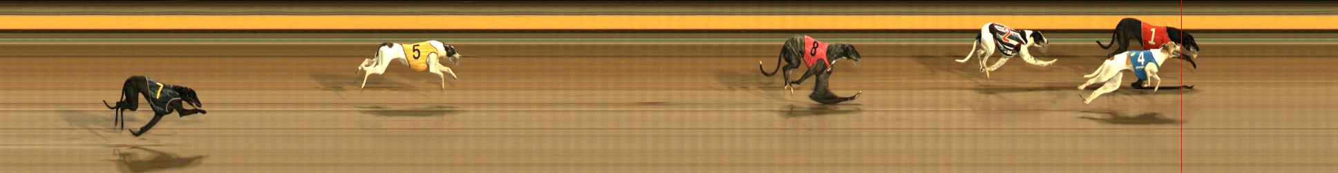 Photo finish for Ballarat Race 10