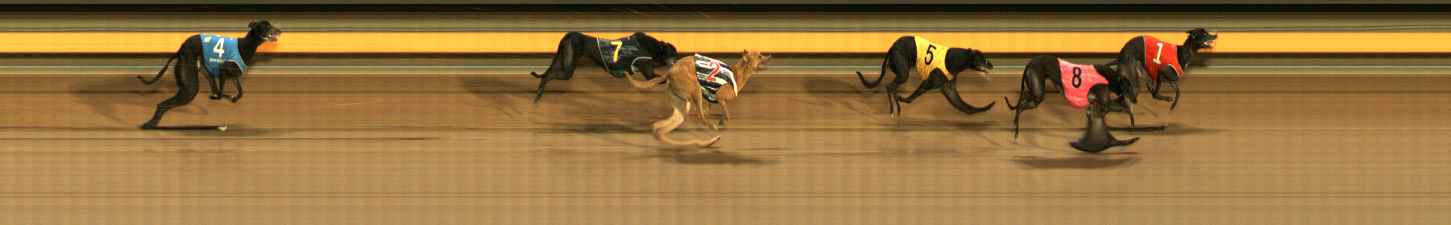 Photo finish for Ballarat Race 11