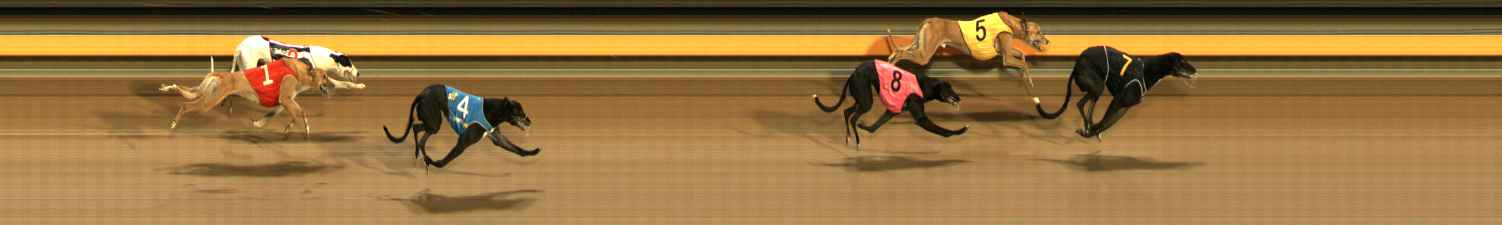 Photo finish for Ballarat Race 12