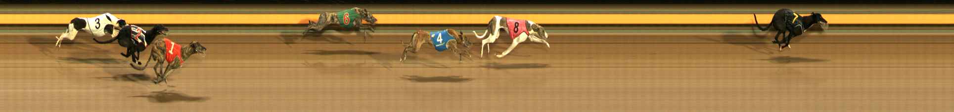 Photo finish for Ballarat Race 14
