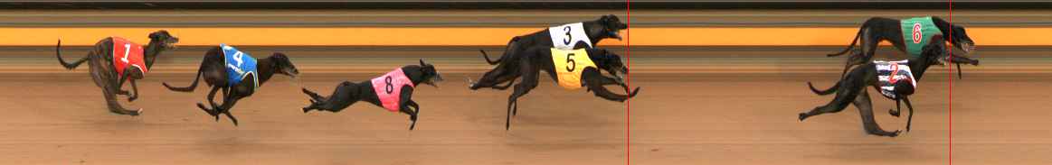 Photo finish for Ballarat Race 2