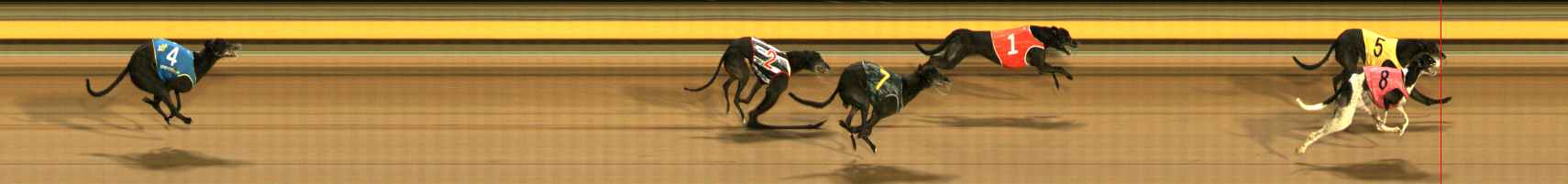 Photo finish for Ballarat Race 7