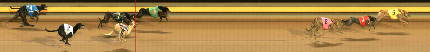 Photo finish for Ballarat Race 10